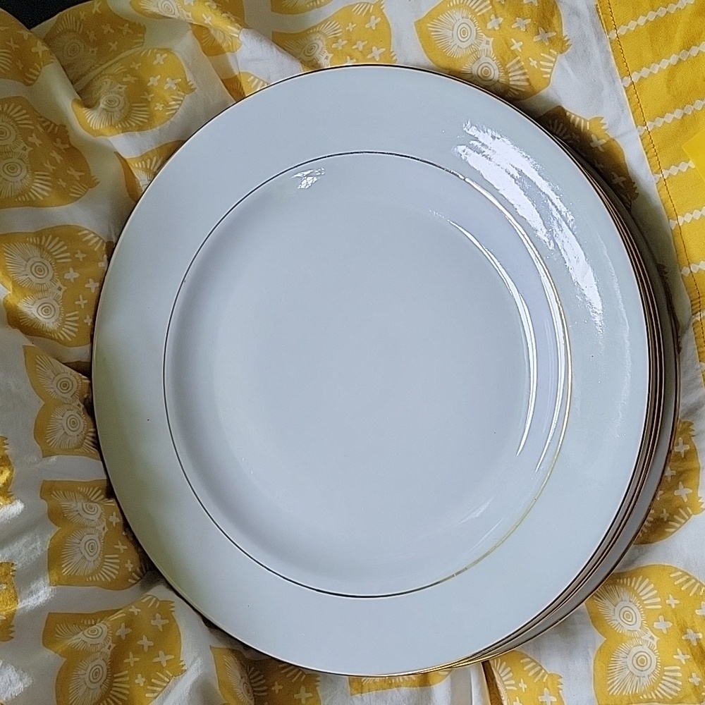 4 10.75" Sinature fine china dinner plates.